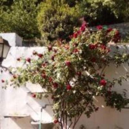Cose Preziose Hotel Azeglio Buitenkant foto